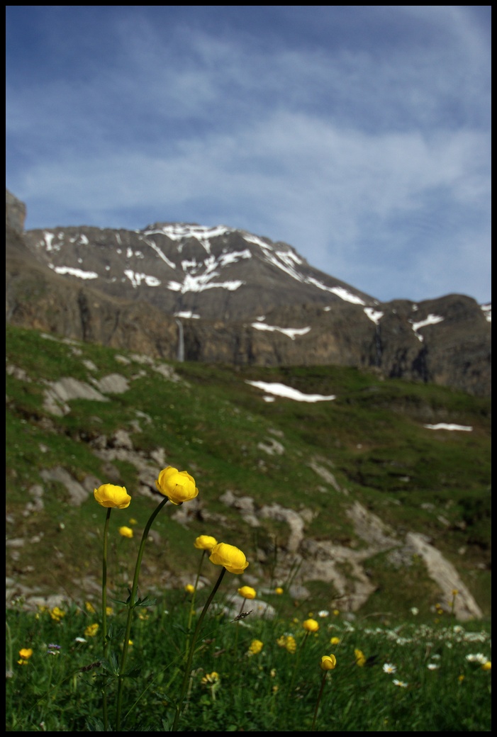 Wildhorn Wildhorn
